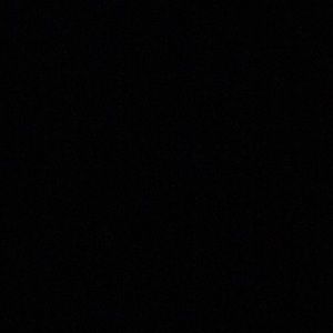 Meet your Posher, Ella